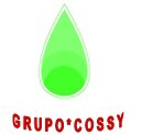 SERVICIO COSSY SA DE CV